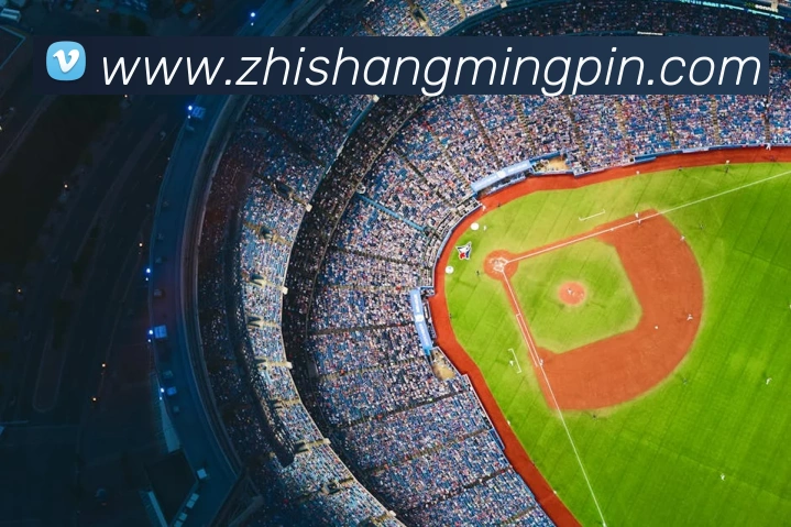 奖项图3